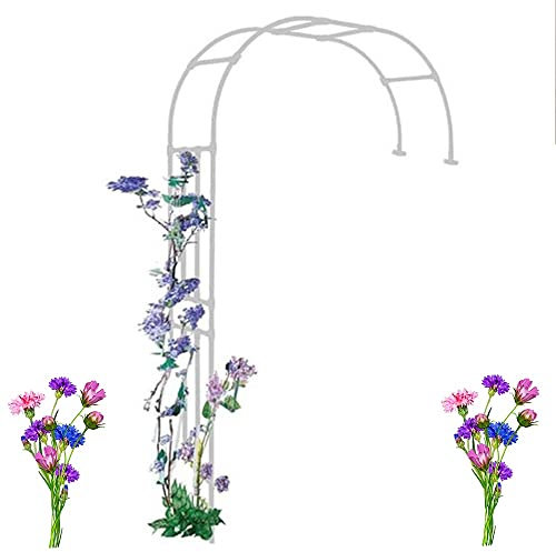 KADEUX Halbrund Gartenbogen, Wandmontage Rosenbogen Rankhilfe Torbogen, Kletterpflanzen Halbbogen Rankgitter Für Gartenrasen/Hochzeit/Pflanzen, 2.4m Stahl Rosengestell (Color : White, Size : 280x240