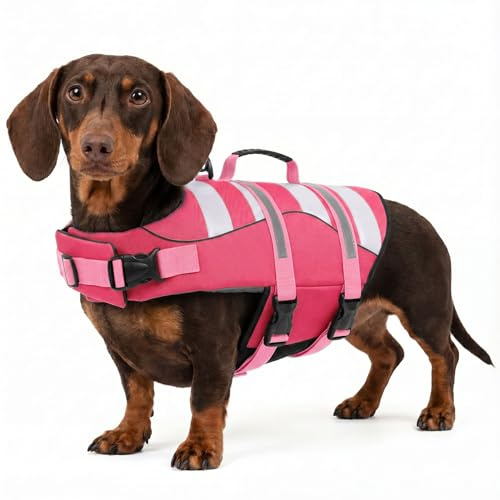 ASENKU Giubbotto Salvataggio per Cane, Salvagente per Cani Taglia Piccola XS,Galleggiante per Cani ad Alta Visibilità con Maniglia per Sicurezza in Acqua, Spiaggia e Barca