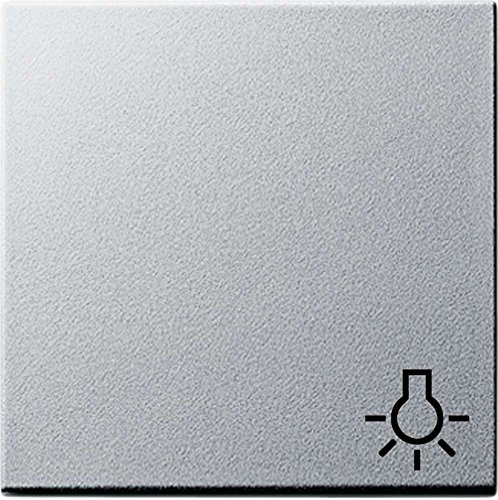 Gira 028526 Wippe Symbol Licht System 55, alu