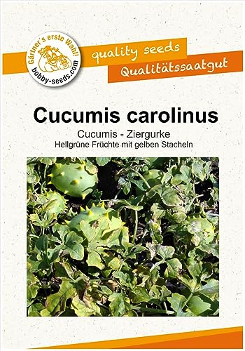 Ziergurkensamen Cucumis carolinus Portion
