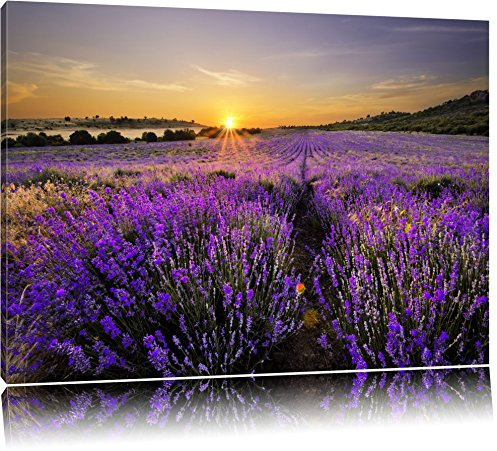 Pixxprint Lavendelfeld in Frankreich, Größe: 120x80cm, Leinwandbild, fertig gespannt, Wandbild, Dekoration, Kunstdruck, kein Poster