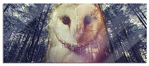Pixxprint Glasbild Panorama, Wandbild aus Echtglas, Portrait einer Eule, 120x50 cm, inkl. Aufhängung und Abstandshalter