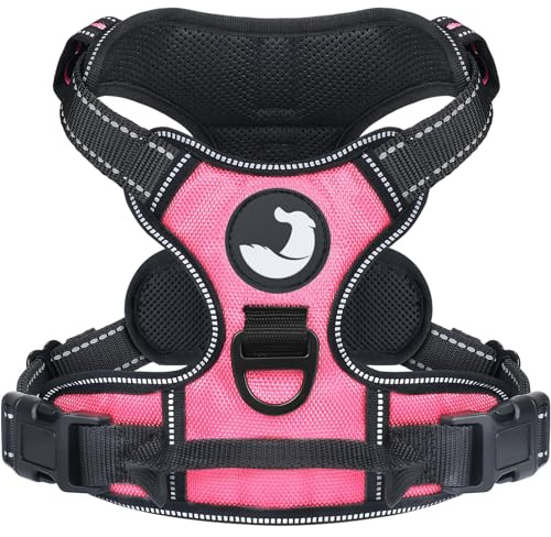 Joytale Anti-Zug Hundegeschirr für kleine Hunde, Pink, S | Perfekter Sitz, gepolstert & reflektierend, 2 Anleinpunkte (vorne & hinten), Haltegriff für Treppen & Auto, für Training