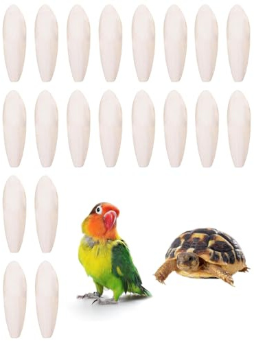 FUGLUS 20 Stück Sepiaschalen Papageien Kauspielzeug für Vögel, Reptilien, Schildkröten und Schnecken, Tintenfisch Sepia Knochen, 4-5cm