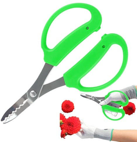 Tagliaerba, cesoie per – aiuole e cesoie per , forbici da giardino di precisione, forbici per fioristi, forbici da giardino per meno sforzo