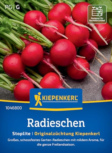 Kiepenkerl Radieschensamen Stoplite 1046800, Gemüsesaat | Große, zum Naschen oder in Salaten, Gemüsesamen aus der Originalzüchtung Kiepenkerl, Schossfest, für Beet, Freiland & Topf