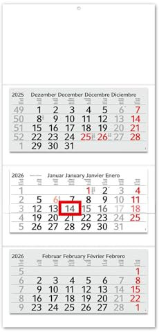 Timr 3-Monatskalender 2026 - Wandkalender 3 Monate mit Schieber - 70 cm Dreimonatskalender mehrsprachig D/GB/F/ES I Blanko Weiß Neutral I tr382