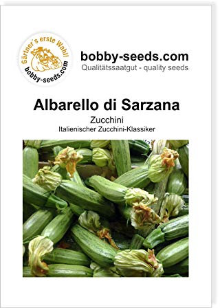 Albarello di Sarzana Zucchinisamen von Bobby-Seeds, Portion