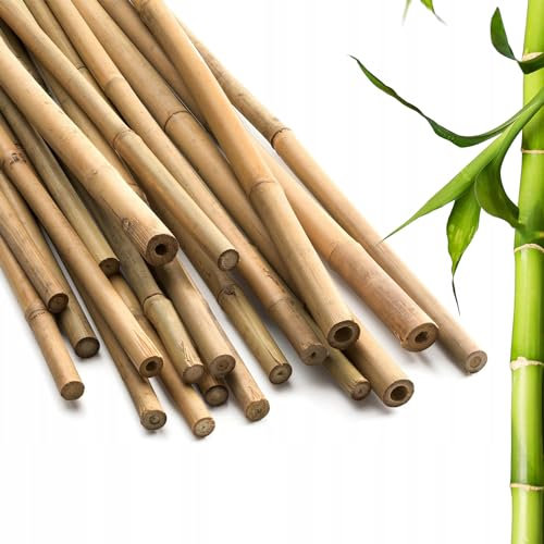 Blado Thick Bamboo Canes - Heavy Duty, Natural Garden Stakes, Strong Bamboo Sticks for Plant Support - Ideal for Gardens, Balconies, Patios, and Outdoor Spaces 2FT,3FT,4FT,5FT,6FT (10, 2ft, 6-8mm)
