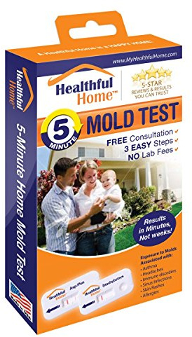 Healthful Home® 5-Minute Home Mold Test (Aspergillus, Penicillium, Stachybotrys)