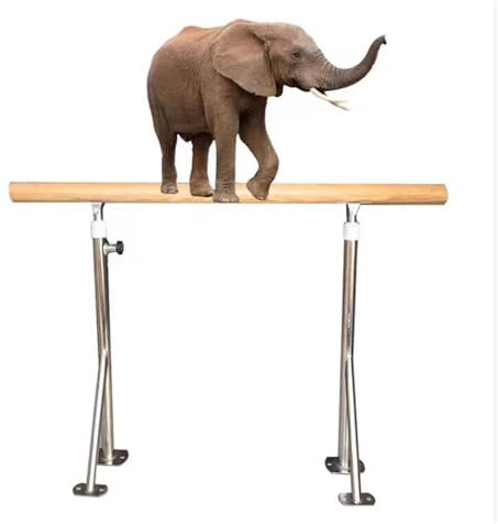 Ballettstange, tragbare Balancestange für Zuhause oder das Studio, höhenverstellbare 80–120 cm Tanzstange für Pilates, Tanzen oder aktives Training, einzelne freistehende Stretchstange (schwarz 100 c
