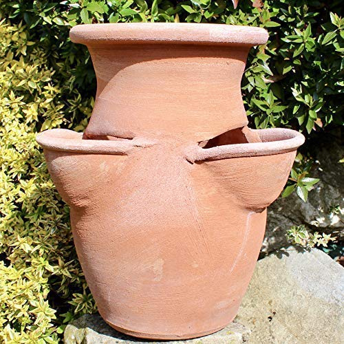Fragoliera Vaso per piante e fiori in Terracotta (alta 30 cm) 100% made in Italy lavorato a mano al tornio