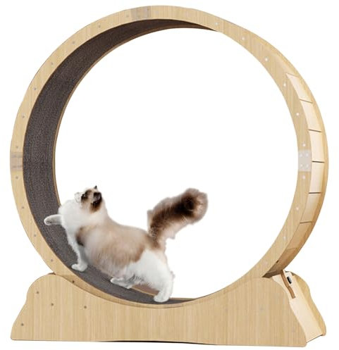 ExoticaBlend Katzenrad-Trainingsgerät für Indoor-Katzen, Katzenlaufrad, Einfach Montiertes Katzenlaufband mit Verriegelungsmechanismus, Ultra-leises Laufen für Katze Gesund,XL