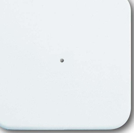 Busch-Jaeger Wandsender Waveline 1-Fach, 6731-214