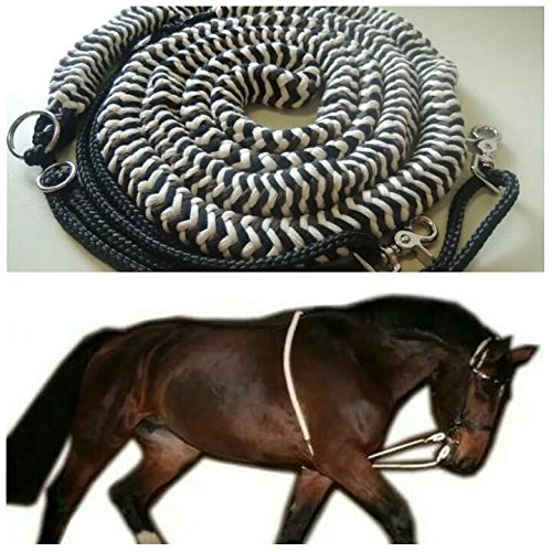 Pferdeseile_DE Longierhilfe - das ORIGINAL - Made in Germany - Größe Pony