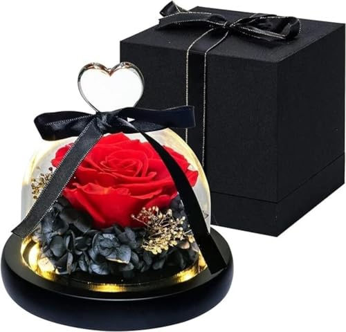 dzmelzu Rose Eternelle en Tant Que Cadeau Femme, Rose Eternelle sous Cloche pour Mariage, Anniversaire Maman, Noel, Anniversaire Mariage, d'anniversaire, Fleur Eternelle avec Coffret Cadeau