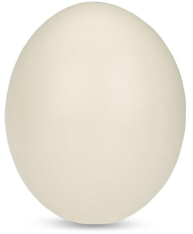 NaDeco Straußenei Natur 1A Qualität, entleert, ausgeblasen und gereinigt | Straussenei vom afrikanischen Strauß | Straußeneier Deko | Deko Ei | Struthio camelus | Osterdekoration | Osterei | Dekoei