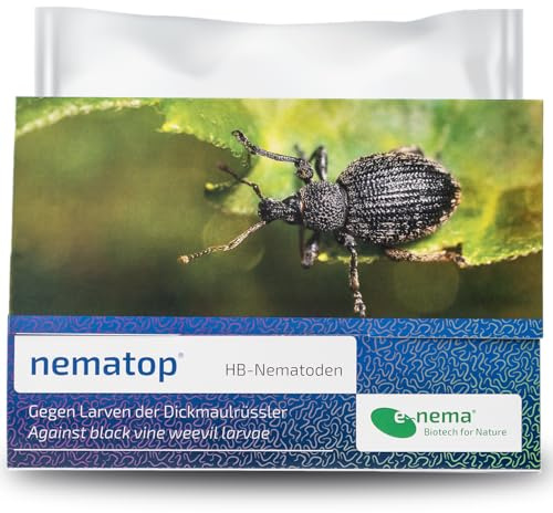 Dickmaulrüssler bekämpfen mit e-nema HB Nematoden | 25 Mio. für 50 m² | nematop