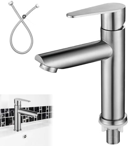 REFORUNG Rubinetto Singolo Acqua Fredda Rubinetto Cucina in Acciaio Inossidabile 304 Solo Acqua Fredda Rubinetti Monocomando per Lavabo con Tubo di Collegamento per Bagno,Toilette,Cucina