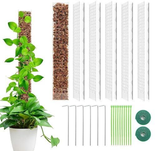 LangRay 6 Stück Moosstab für Monstera Rankhilfe Zimmerpflanze 24 Zoll / 61cm Pflanzenstab aus Kunststoff Stab Rankhilfen für Kletterpflanzen Pflanzstab Pflanzenstütze Kletterhilfe Moss Pole
