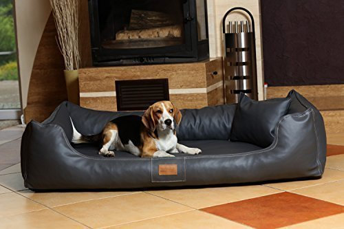 tierlando® Orthopädisches Hundebett Maddox Easy CLEAN aus pflegeleichtem Kunstleder mit Visco-Matratze für gesunden Schlafkomfort bei Gelenkproblemen Größe: 150x100cm | Farbe: 02 Graphit
