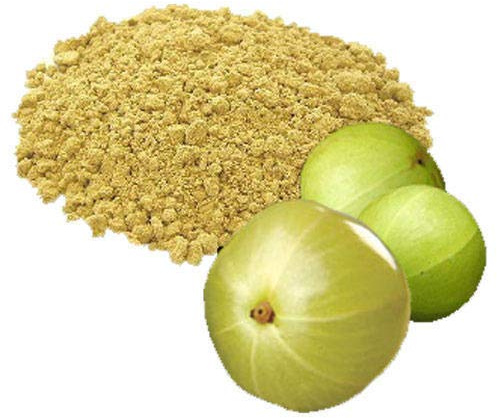 200g - Polvo de grosella espinosa india orgánica Amla polvo molido seco cerdo ciruela hierba ariurvédica