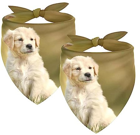 Hundehalstücher, 2er-Pack Haustierschal, Haustierzubehör, süße Welpenhalstücher,Golden Retriever Schönes Tier