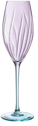 Cristal D'arques Swirly Spring Boîte de 4 verres à flûte à verre 21 cl Compatible réfrigérateur Matériau 100% sain