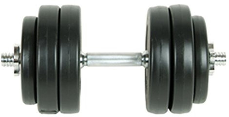 Festnight Hantel Set Fitnesshantel Kurzhantel mit Sternverschluss 15kg Gewichte