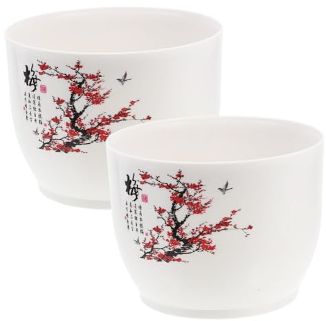 HEMOTON 2pezzi Da in Plastica Riutilizzabile Contenitore Per Piante Acquatiche Vasi Per Decorativi Per Narcisi Da Casa Ciotola Per Piantare in