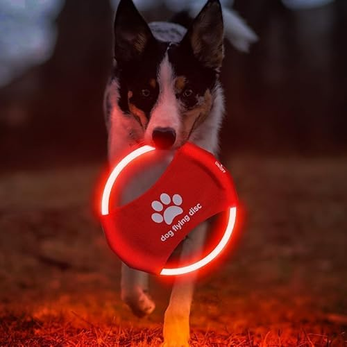 DoggKKin Frisbee LED recargable para perro, disco volador brillante para jugar por la noche, juguete LED duradero e impermeable para entrenamiento al aire libre, perfecto para perros medianos y