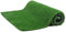 TYCIONG TYCIONG13demcvqnu-10206854 - Alfombra de césped artificial para decoración de jardín o patio (200 x 100 cm)
