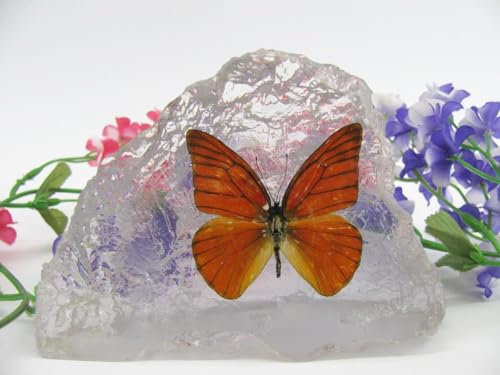 In Kunstharz gegossene Schmetterlinge, Insekten, Skorpione und mehr. Briefbeschwerer, Icemountain, nicht scharfkantig (Schmetterling 24)