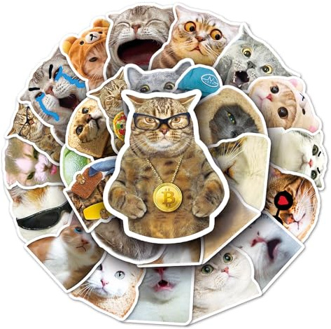 Funny Cat Vinyl Stickers, 50 PCS Waterproof Realistic Animal Decals for Laptops, Scrapbooking, Journals, Notebooks, Water Bottles, Suitcases, Phones & DIY Decor