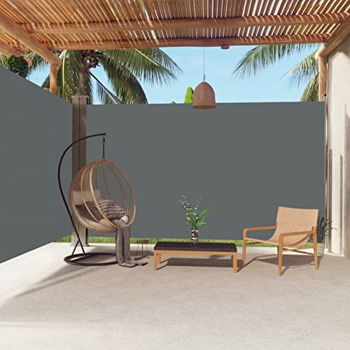 ARKEM Seitenmarkise Ausziehbar Anthrazit 220x600 cm Sichtschutz Blickdicht, Vertikalmarkise, Sonnenschutz, Windschutz