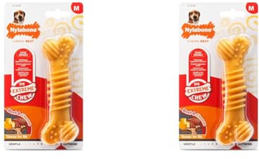 Nylabone Extreme Tough Dog Chew Toy Bone, Durable, Cleans Teeth, Beef & Cheese, Medium, for Dogs Up to 16 kg (Pack of 2)