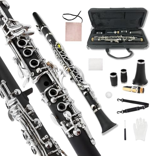 Yinfente Clarinete profesional Ebonite E Key para estudiantes principiantes con 2 barriles, kit de limpieza de estuche duro, guantes de grasa de corcho