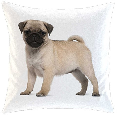 Kissen/weiches Kuschelkissen mit Füllung 40x40cm - Motiv: Mops Welpe stehend | 01