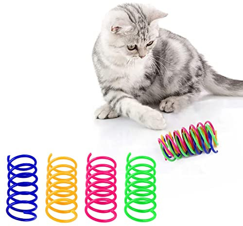 24 Stück Katze Spielzeug,Buntes kreatives Kunststoff Spiralfedern Spirale,Spielzeug Spiralfedern Neuheit Haustiere Spielzeug Bunte Spiralfedern Spring Spirale für Katze (24pc)