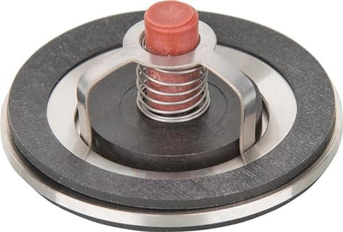 Banyo EHKO Typ 73 DN25 1 Edelstahl Rückschlagventil 25 mm 2-Port Ventil