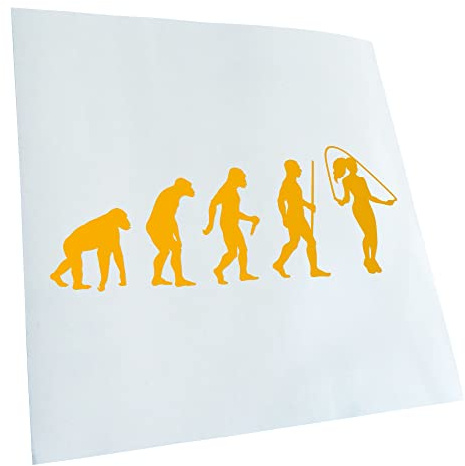 Kiwistar - Autocollant - Evolution - jaune - G30 - Pour voitures, vélos, véhicules, motos, cyclomoteurs, tuning, vitres arrière