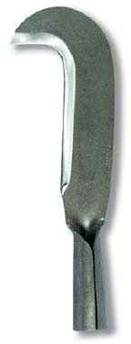 Flores cortés – Falce. Co