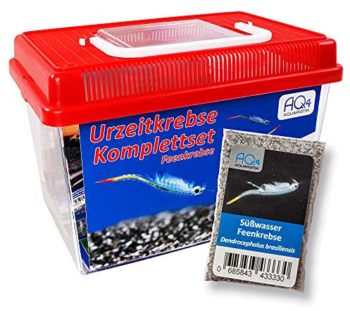 AQ4Aquaristik Feenkrebse Starterset mit Urzeitkrebs Eiern: 2,5 l Aquarium, Zubehör, Zuchtansatz, Futter und Anleitung, Dendrocephalus brasiliensis
