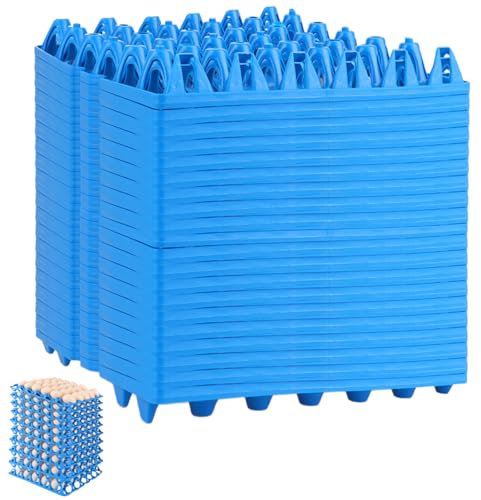 CYEER 20 Stück Eieraufbewahrung, Eierhalter Kühlschrank, Eier Transportbox für 30 Eier Großhandel Eier Aufbewahrung zum Aufbewahren, Sortieren und Versenden von Eiern(Blau)
