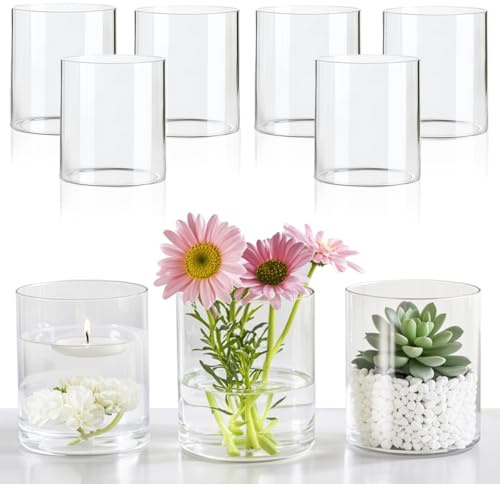 Cococheers 6-Piece Set Of Transparent Glass Cylinder Vases,Cylinder Vases,Hurricane Candle Holders,Suitable For Flowers,Weddings,Parties,Offices,And Home Decoration.