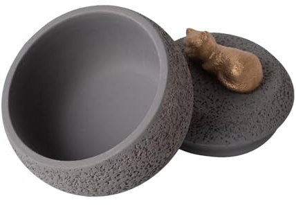 Boîte à cendres pour animaux de compagnie – Urnes commémoratives pour chien – Cercueil décoratif lisse pour perte de mémoire pour chats funéraires chiots condoléances mort