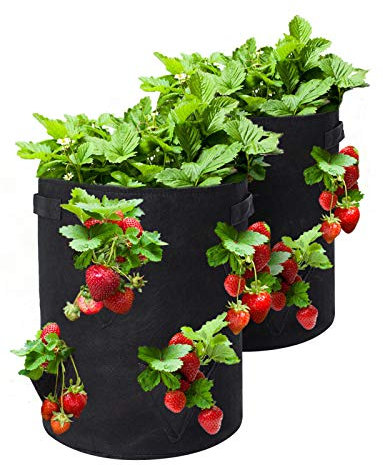 2 Pack 10 Gallon Strawberry Grow Bags, Strawberry Planter with 8 Side Grow Pockets, Breathable Non-woven Fabric Pots Garden Plant Growing Bag for Strawberries Grow, Herbs, Flowers, Vegetable, Fruits
