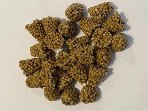 Ferrarium Pflanzennahrung für Balkon- und Terraspflanzen, 40 Tabletten | 210 Tage Nährstoffe, 100% pflanzlich