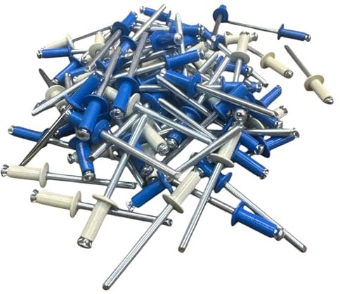 Kit 100 Rivetti VITFER 4.8x12 a Fiore per Targhe Auto Moto - 60 Blu e 40 Bianchi - Rivetti Resistenti Assortiti per Carrozzeria e Fissaggi