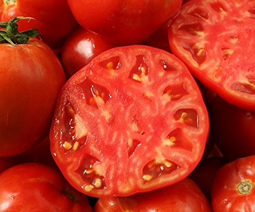 Oxheart Tomaten Samen esculentum